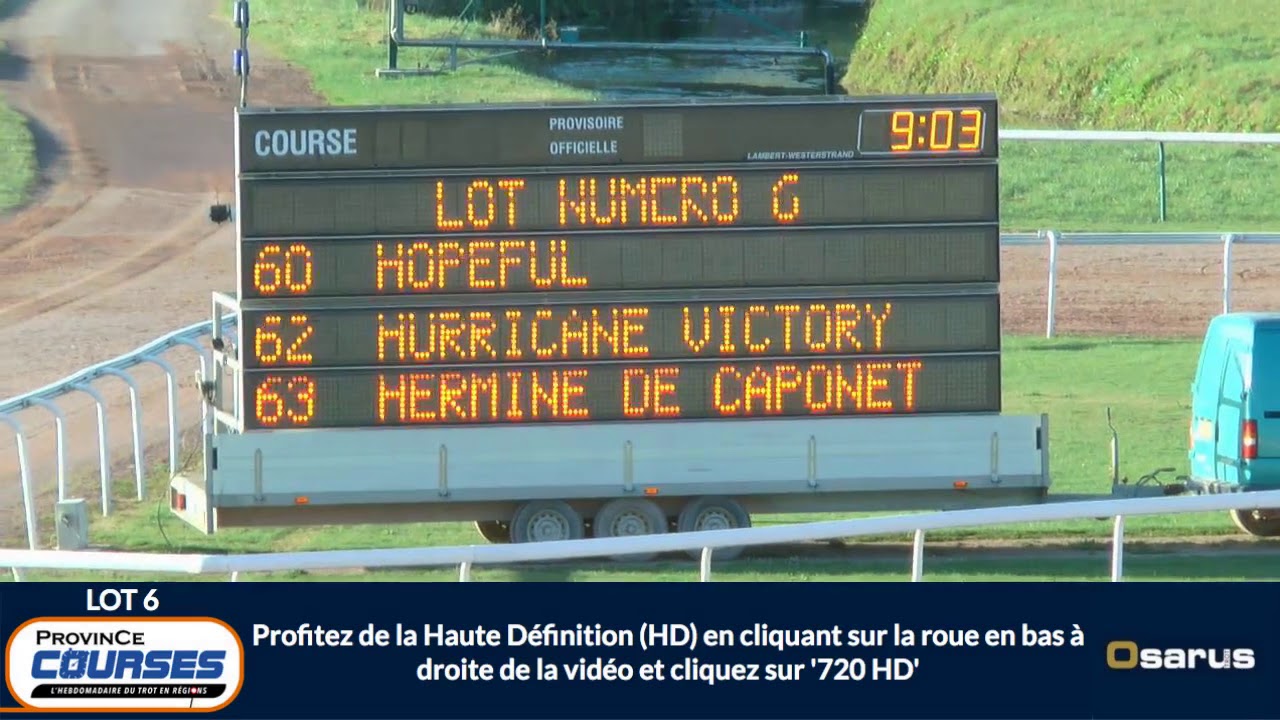 pousseur chien fisher price