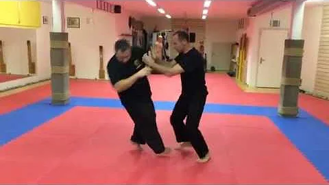 Roan Morand Demonstration 1
