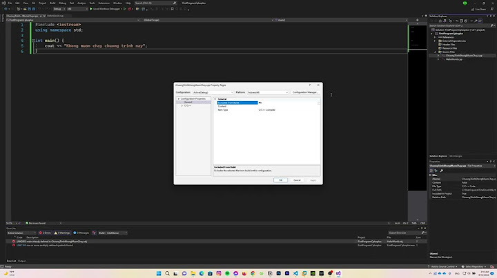 Các lỗi về file khi chạy chương trình trên visual năm 2024