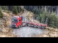 Volvo FH16 750 Timber Truck