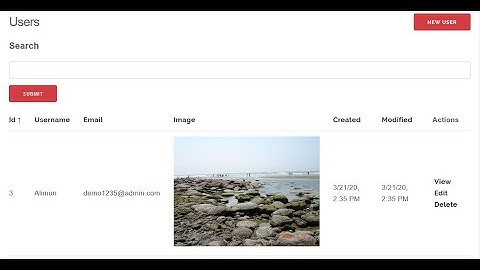 CakePHP 4 Image Upload (23)