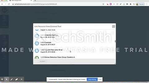 Canvas-Embedding an assignment Using Google Cloud