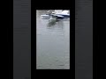 A plane floats by my dock #shorts