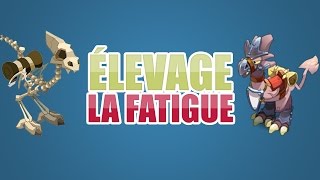 [Dofus] Élevage : La fatigue des DD