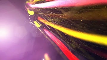 Trapcode Particular demo