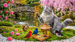 Cat TV 🎶 Relaxing Outdoor Nature Scene with Birds 🐦 Soft Piano Music for Cats screenshot 4