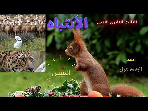 الثالث الثانوي الأدبي فلسفة الدرس الأول الانتباه 