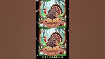 FIND THE 3 DIFFERENCE #59 I Quick-witted gameshow I