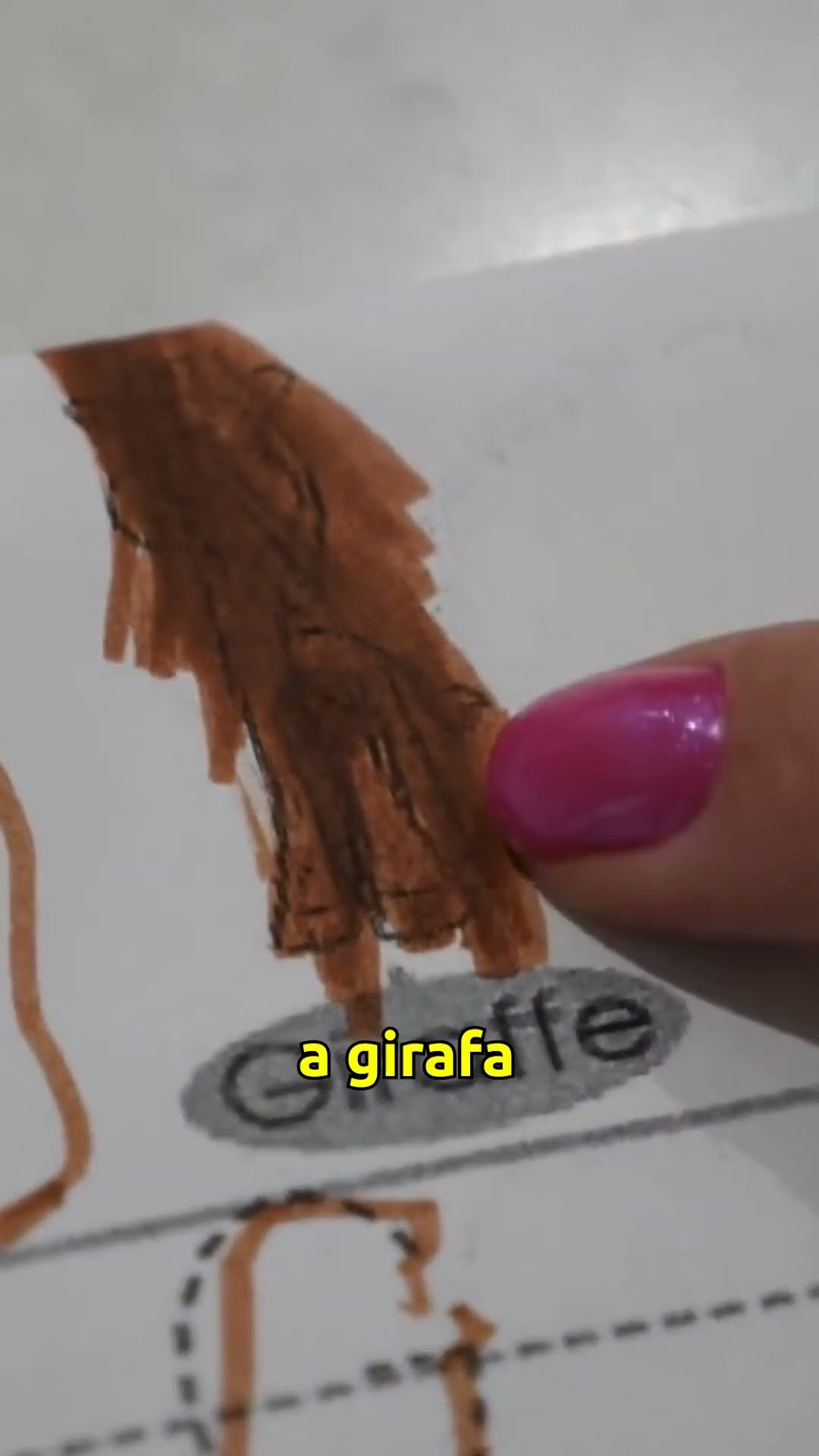 TAREFA DA LAURA NOS EUA - Família Brancoala