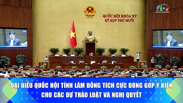 Đại biểu Quốc hội tỉnh Lâm Đồng đóng góp ý kiến cho các báo cáo và dự thảo luật