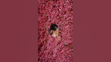 Using Photoshop’s Generative Tool to make our horizontal videos vertical! #wedding #brideandgroom