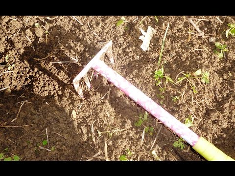 Βίντεο: Αύγουστος: σπορά ραπανάκια