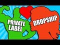 Dropshipping vs Private Label Ultimate Comparison - My Story