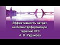 Эффективность затрат на безинтерфероновую терапию ХГС. Профессор А.В.Рудакова