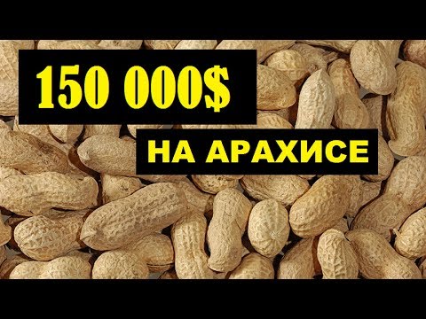 Выращивание Арахиса в домашних условиях как бизнес идея