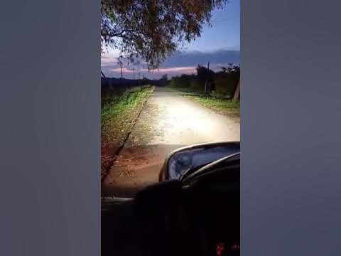 Bi led Passat b5