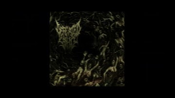 Defeated Sanity - Fatal Self-Inflicted Disfigurement (guitar cover)