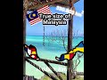 True size of malaysia mapping geography malaysia short viral cool mapping