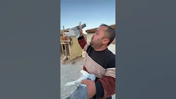 طيارو كشاش حمام 