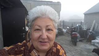 Котёнок уезжает #теплицаизполикарбоната -- то открываю, то закрываю Обзор покупок Сею петунию Пероед