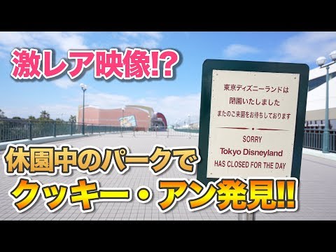 【超レア映像】クッキー・アンに出会った!!  /  東京ディズニーシー