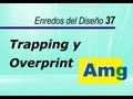 Trapping y Overprint - Amg