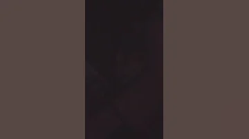 عـبـدالـحـي الـشـامـي 