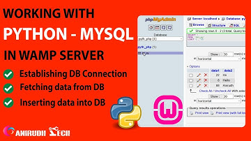 Python-MySQL database connection in WAMP server