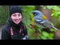 Taking Pictures of Birds IN THE RAIN