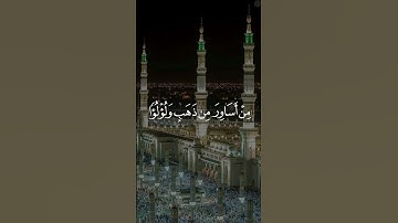 #تلاوات #القرآن #quran #القرآن_الكريم #تلاوات_خاشعة #تلاوة #تلاوة_خاشعة #القارئ #أحمد_خليل #reels