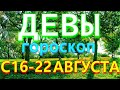 ГОРОСКОП ДЕВЫ С 16 ПО 22 АВГУСТА НА НЕДЕЛЮ. 2021 ГОД