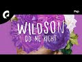Wildson feat. Vincent Vega - Light Up The Sky