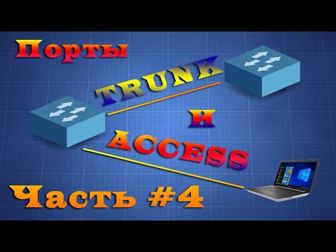 Локальные сети. Trunk и access порты