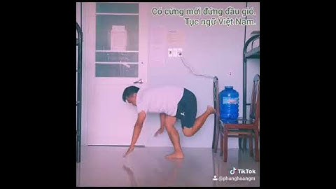 Có cứng mới đứng đầu gió có nghĩa là gì