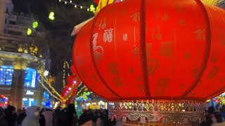 Celebrity Tourists enjoy Lantern Festival in China's "ice city" Net Worth
