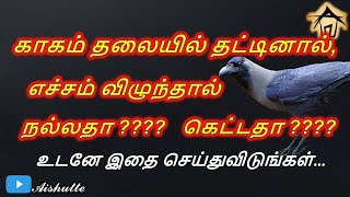 காகம் தலையில் தட்டினால், எச்சம் விழுந்தால் நல்லதா? கெட்டதா?   Crow hit on head - good or bad?