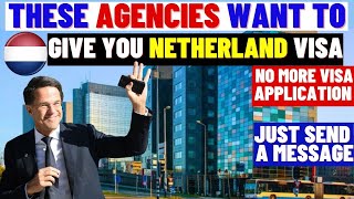 Companies Hiring In Netherland With Visa Sponsorship: Netherland Free Visa Agency: NL Work Permit screenshot 3