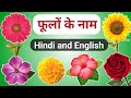 Learn Flowers Name Hindi & English | फूलों के नाम | Flowers Names | Name of Flowers