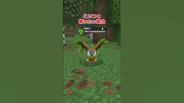 【アドオン紹介】誰が生めと頼んだ【統合版マイクラ】