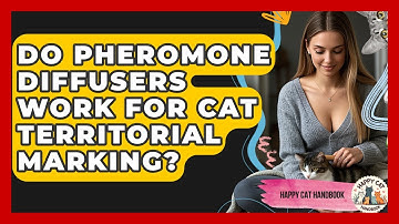 Do Pheromone Diffusers Work For Cat Territorial Marking? - Happy Cat Handbook