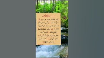 #سورة_محمد #ايات_قرانيه_قصيره #shayari #shots #shotsyoutube #shots_video #shotsfeed