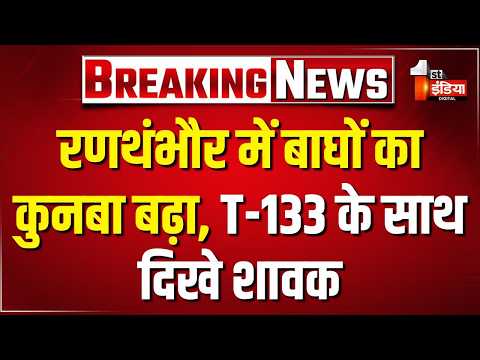 Ranthambore में बढ़ा बाघों का कुनबा, बाघिन T-133 दिखी शावकों के साथ। Jaipur। Forest Department