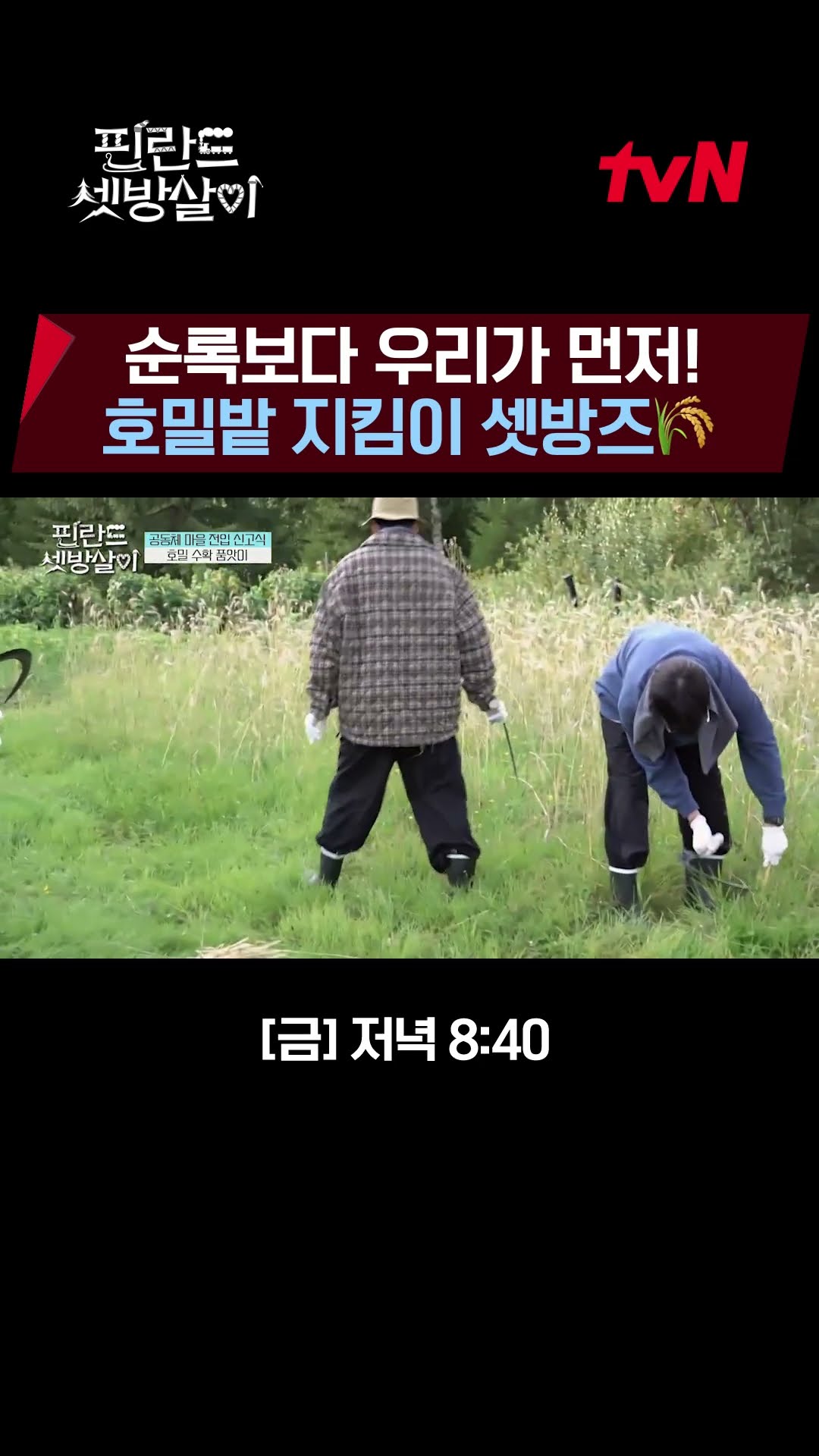Protect the rye field! (Old) city bachelors who are good at farming?