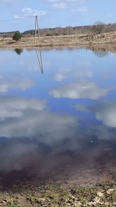 река Плюсса #природа #псковская_область #туризм #река #рыбалка - YouTube