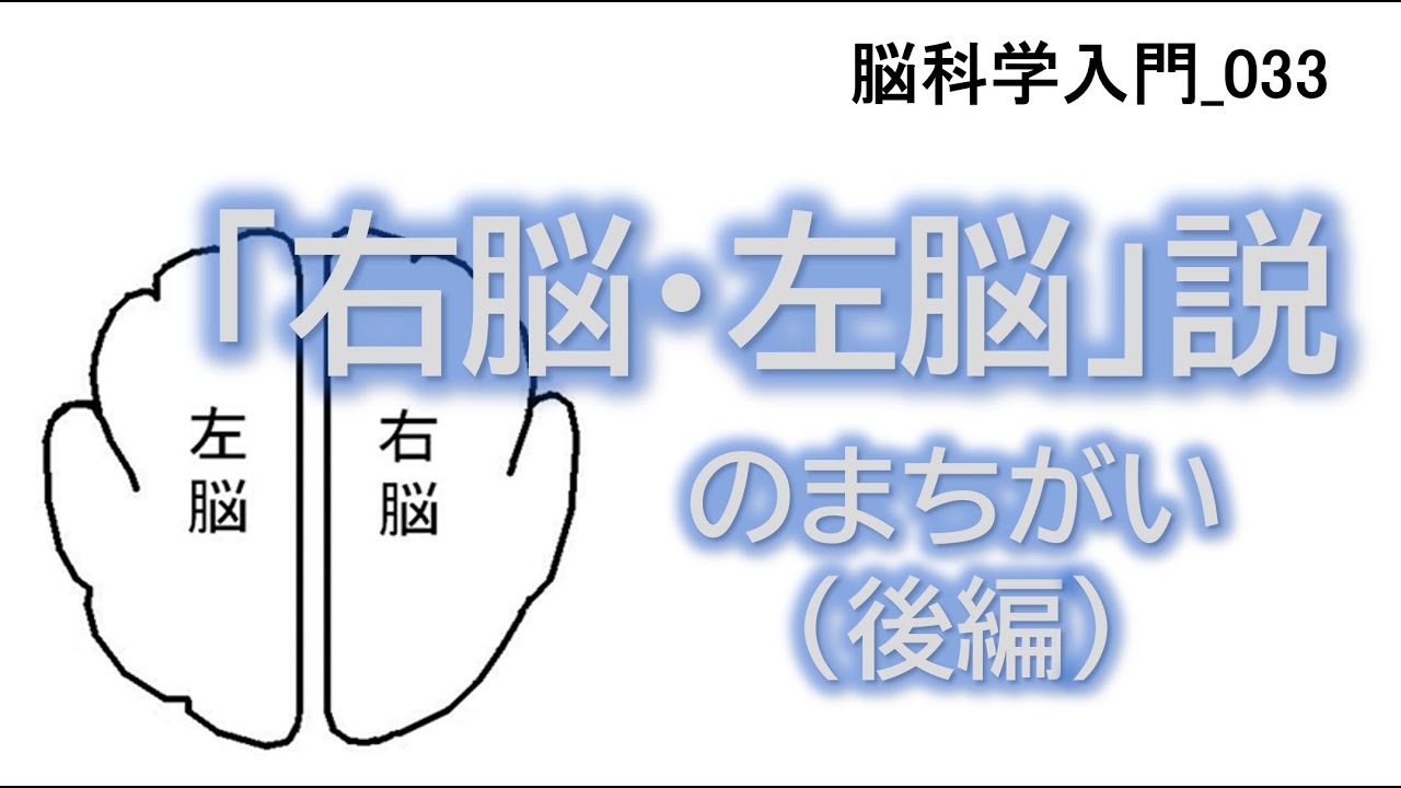 一般向け／脳科学入門】033_「右脳・左脳」説のまちがい＜後編＞ - YouTube