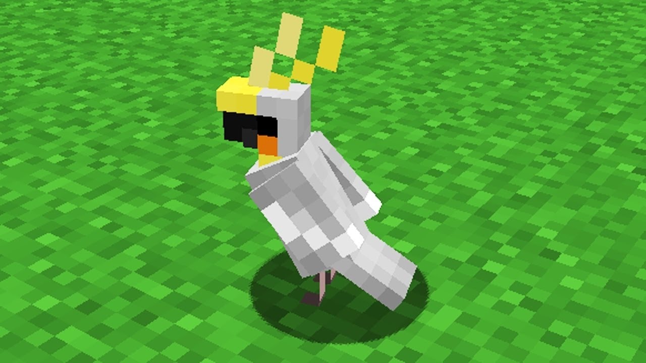 Minecraft birds. Попугай майнкрафт. Птица в МАЙНКРАФТЕ. Попугай в Майне. Расцветки попугаев в МАЙНКРАФТЕ.