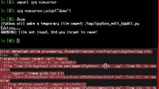 Famous ipy vim demo Net Worth