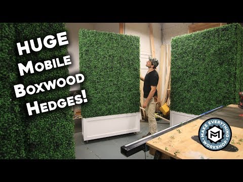 Making 5 HUGE Boxwood Hedges