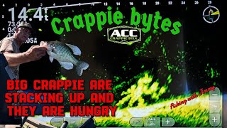 видео: Большие краппи собираются, и они ГОЛОДНЫ! | Fall Slabs на Livescope картинка: Большие краппи собираются, и они ГОЛОДНЫ! | Fall Slabs на Livescope