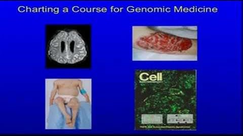 Adventures in the Genomics of Inflammation - Dan Kastner